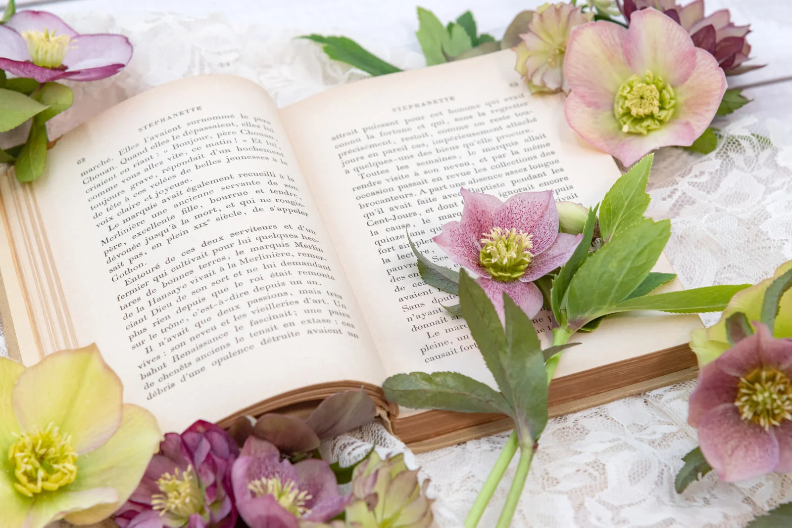 クロスマスローズ